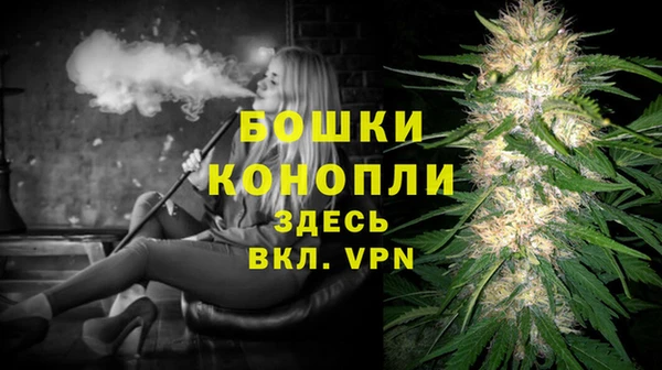 spice Алексин