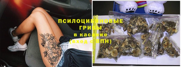 spice Алексин