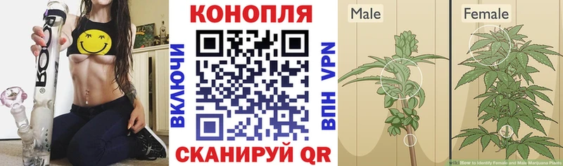Каннабис AK-47 Тайшет